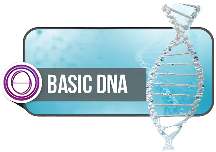 Basic DNA ThetaHealing® Seminar